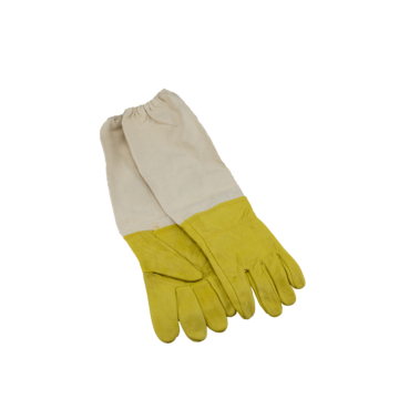 Handschuhe BG01CG