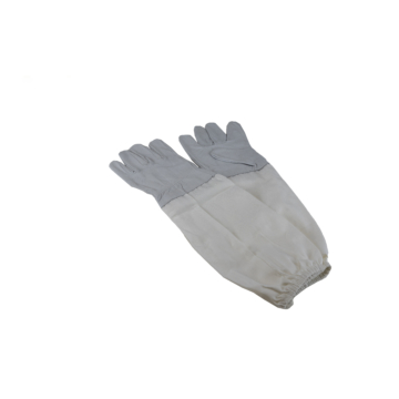 Handschuhe BG01PW