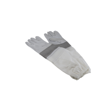 Handschuhe BG02W