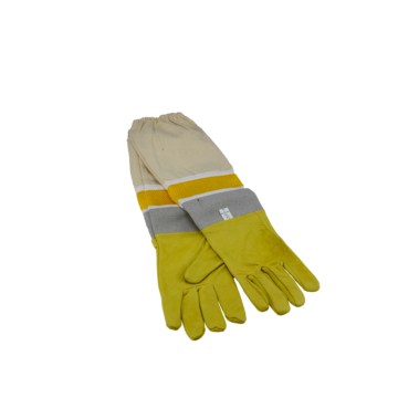 Handschuhe BG05