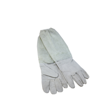 Handschuhe BG06