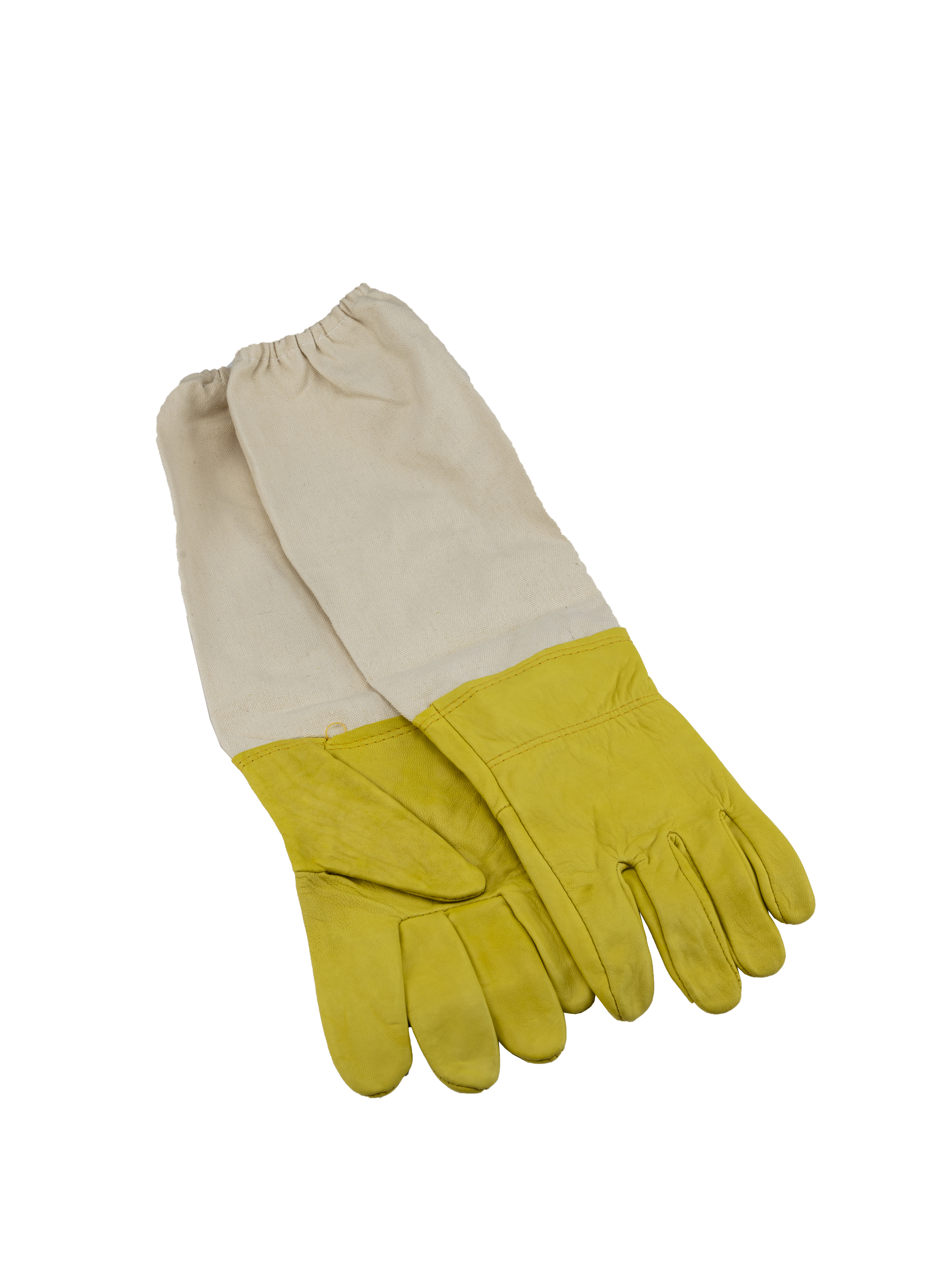 Handschuhe BG01CG